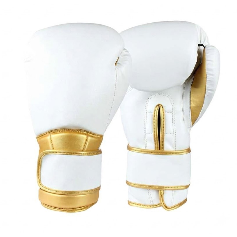 03-17 Boxing Gloves