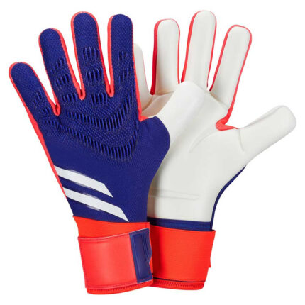 Goalkeeper Gloves