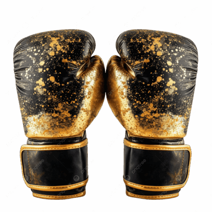 Boxing Gloves