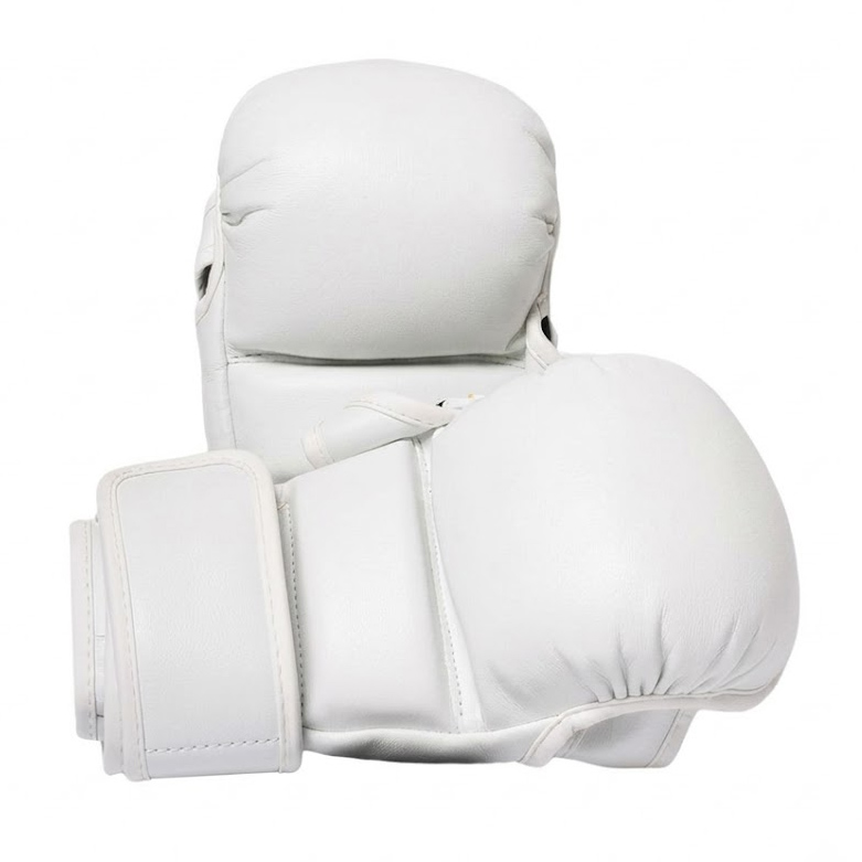 09-6 MMA Gloves