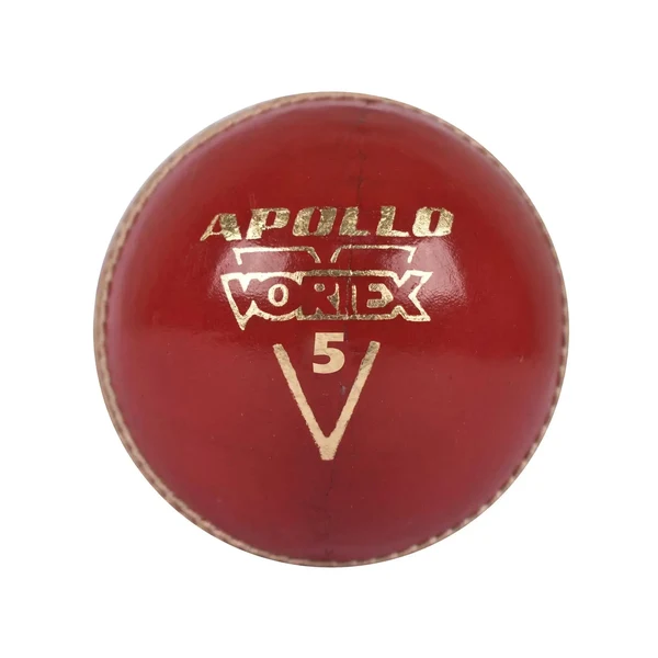 6 Cricket Balls